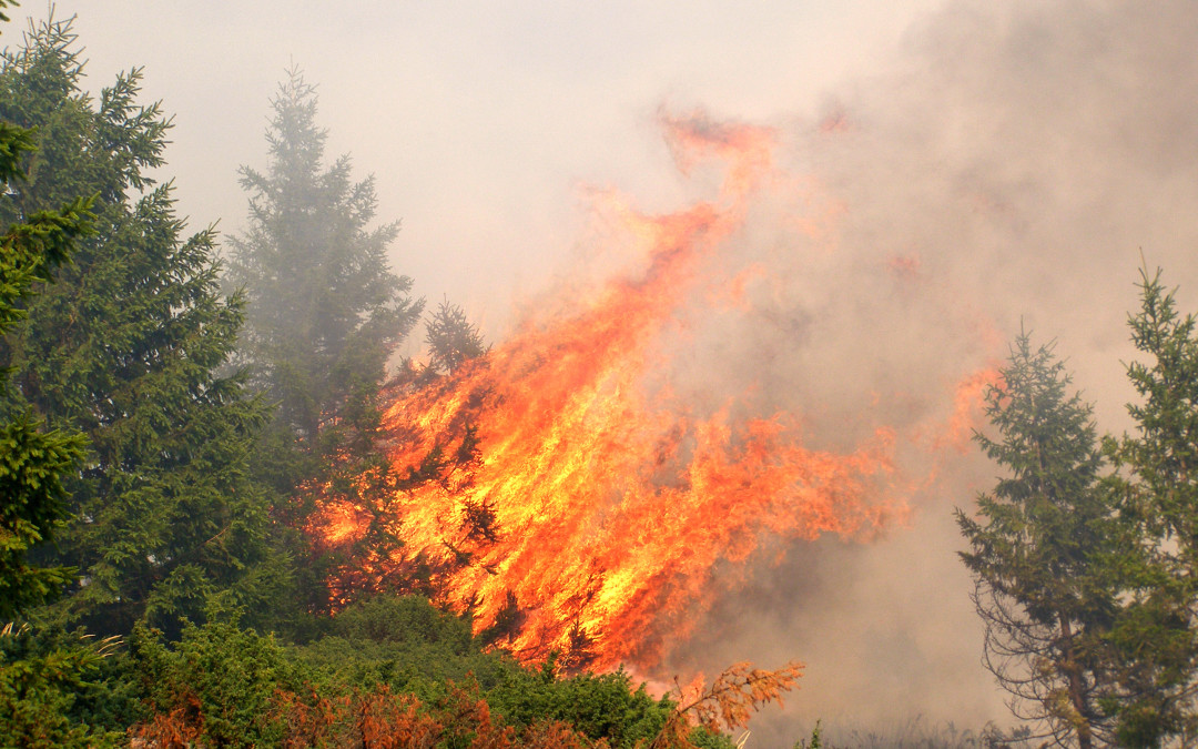 2017 Wildfire Community Awareness Day